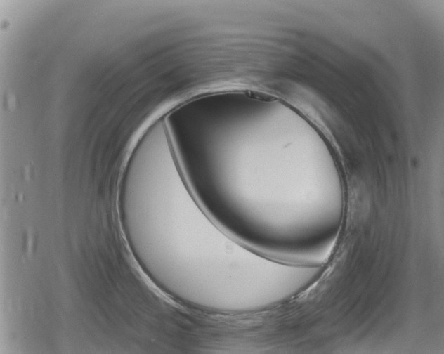 X0000080201197200612081126