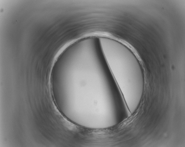 X0000080201199200612081126