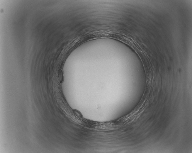 X0000080201201200612081125