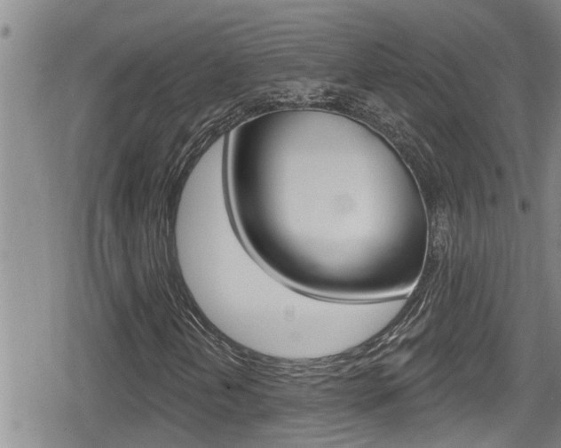 X0000080201202200612081125