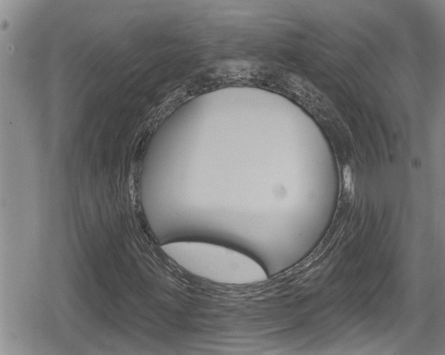 X0000080201203200612081125