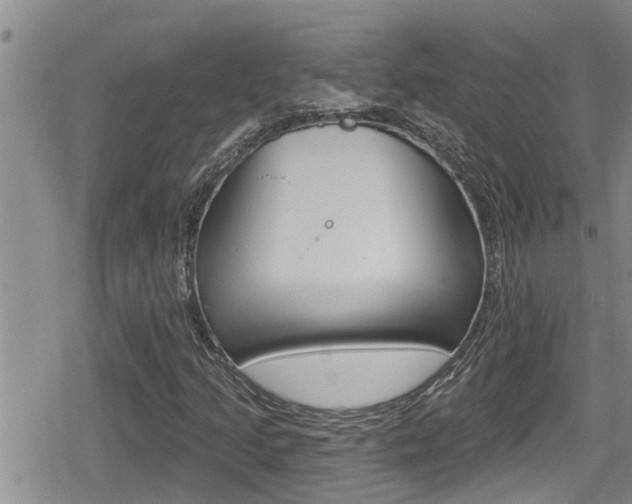X0000080201205200612081125
