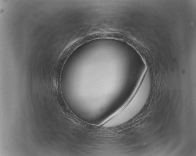 X0000080201206200612081125