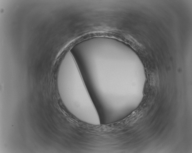 X0000080201208200612081125