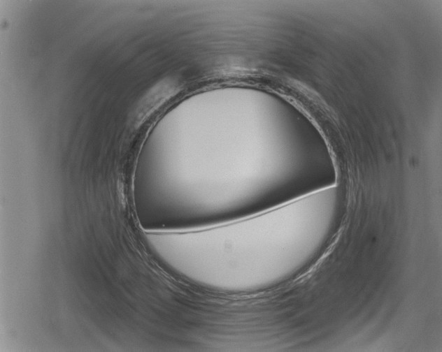 X0000080201209200612081125