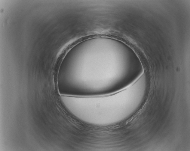 X0000080201214200612081125