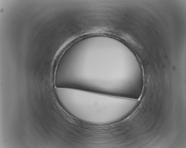 X0000080201216200612081125