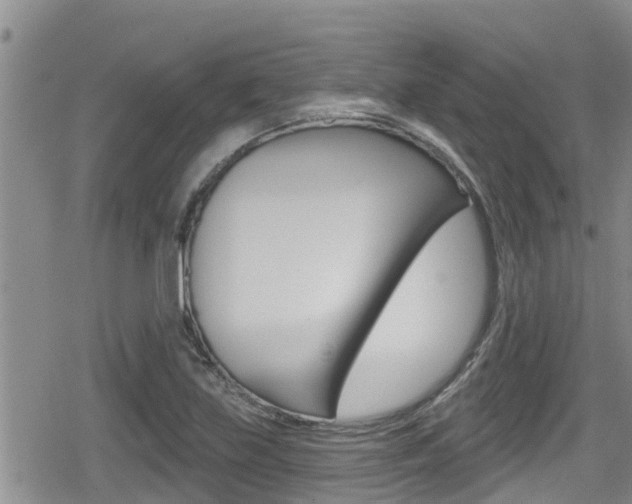 X0000080201219200612081126