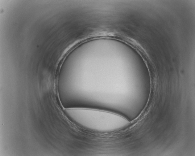 X0000080201220200612081126