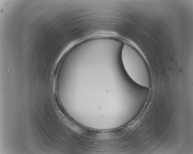 X0000080201227200612081126