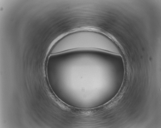 X0000080201230200612081126