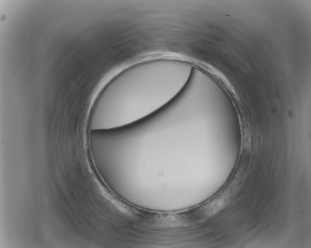 X0000080201231200612081126