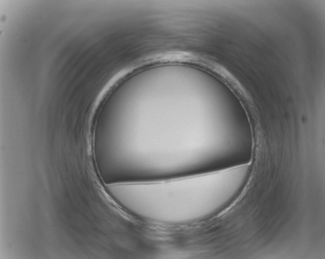 X0000080201232200612081126