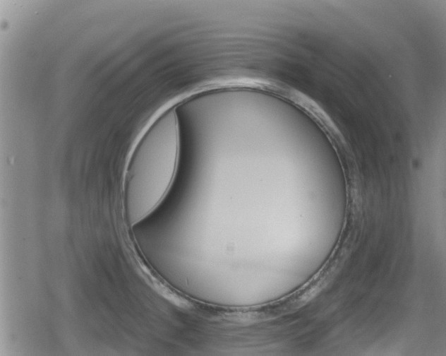 X0000080201236200612081126