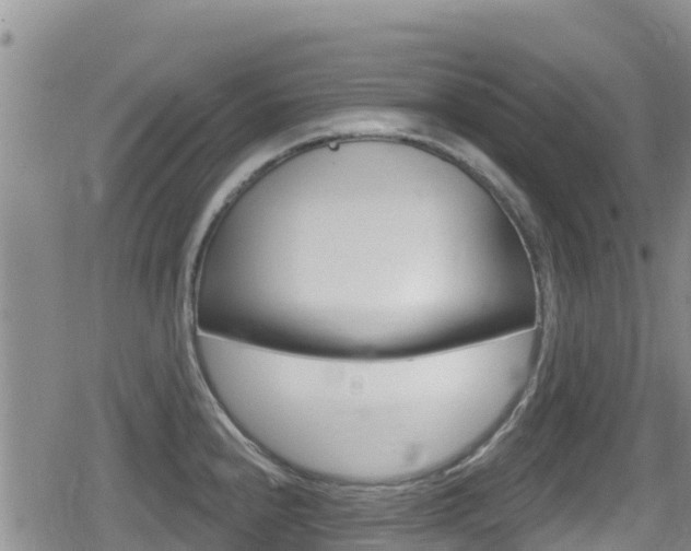 X0000080201240200612081126