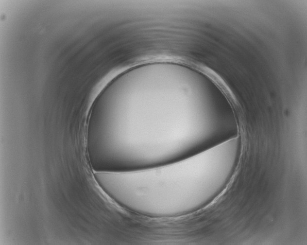 X0000080201244200612081126