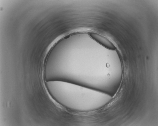 X0000080201245200612081126