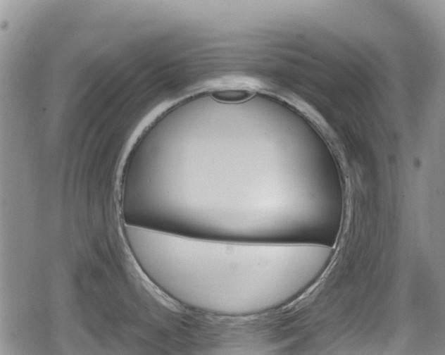 X0000080201248200612081126