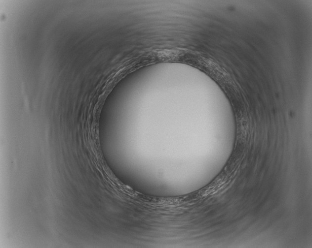 X0000080201249200612081125