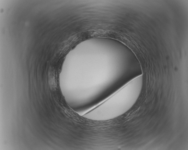 X0000080201250200612081125