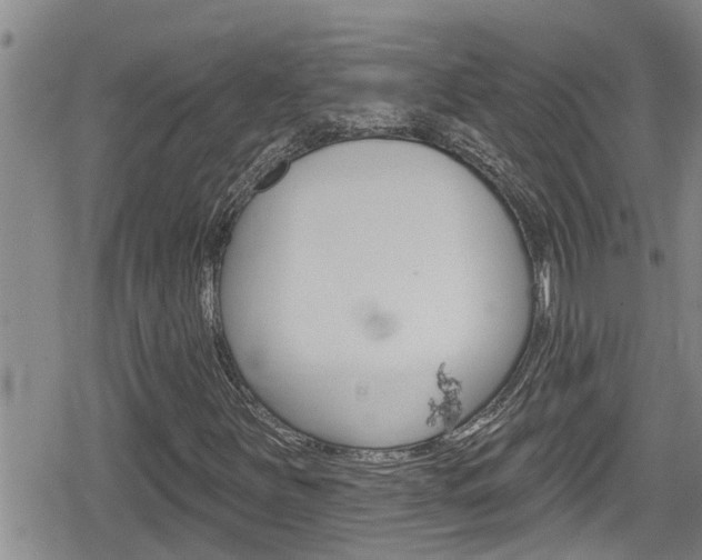 X0000080201251200612081125
