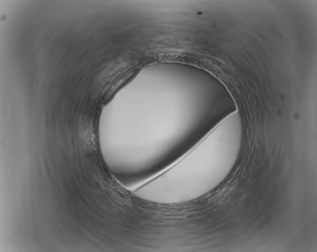 X0000080201252200612081125