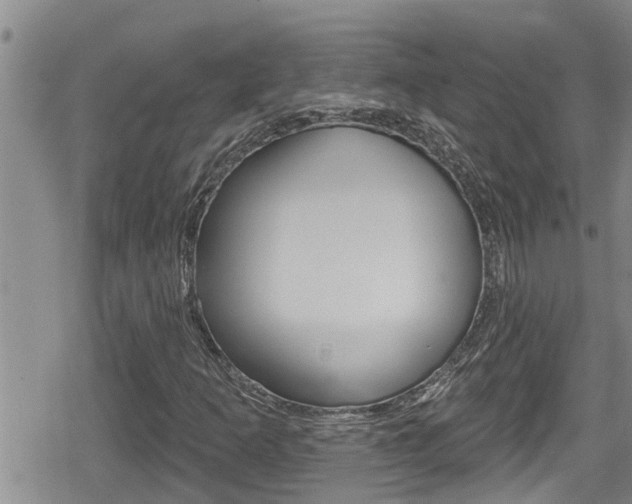 X0000080201253200612081125