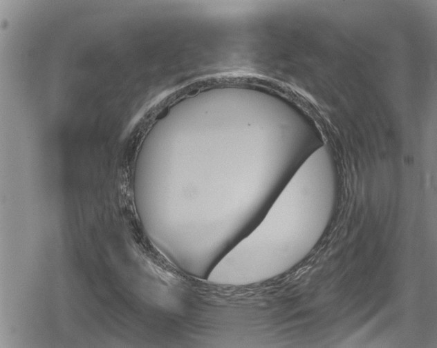 X0000080201255200612081125