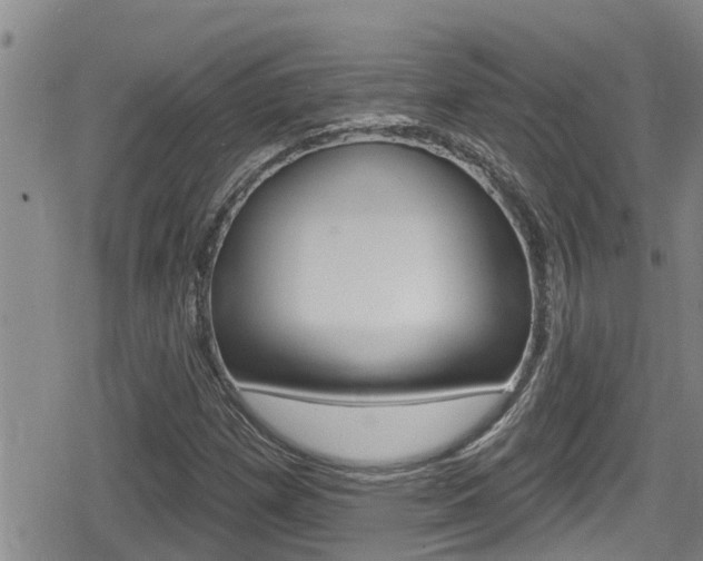 X0000080201257200612081125