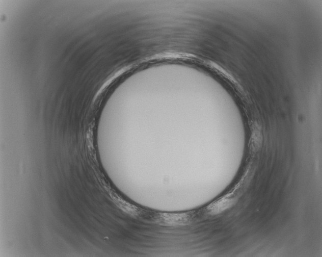 X0000080201258200612081125