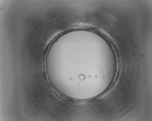 X0000080201259200612081125