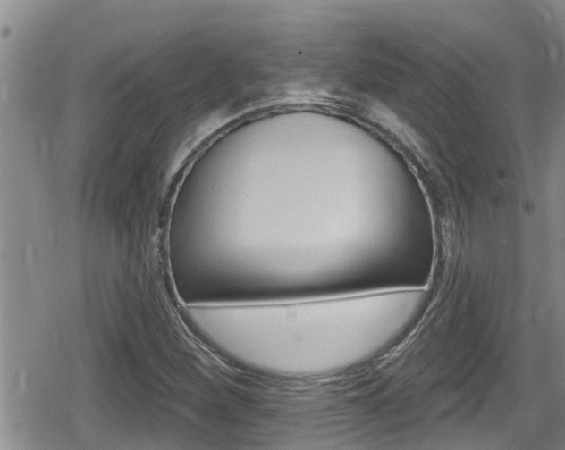 X0000080201260200612081125