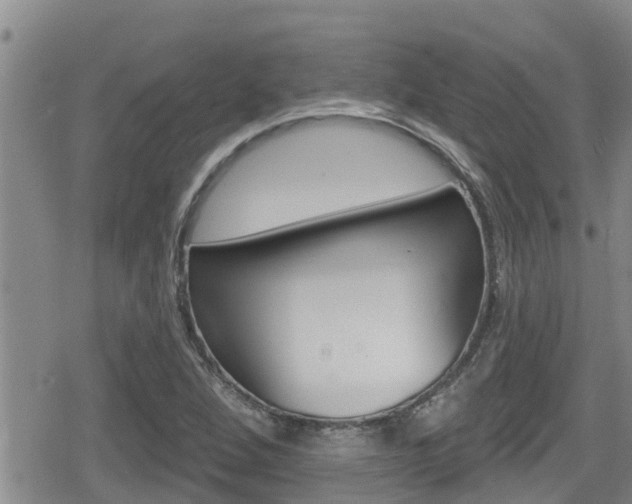 X0000080201264200612081125