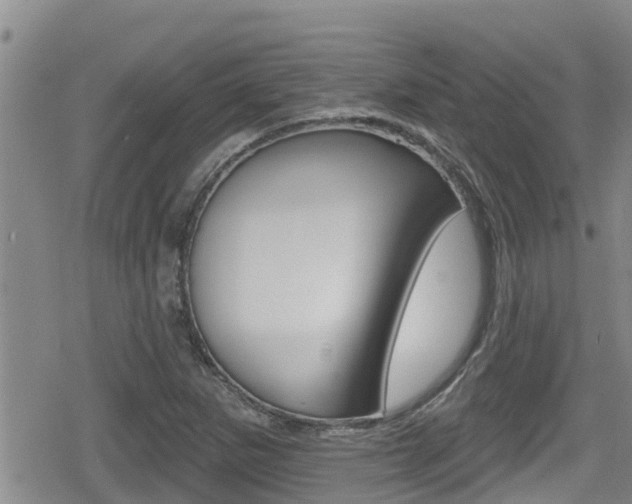 X0000080201265200612081125