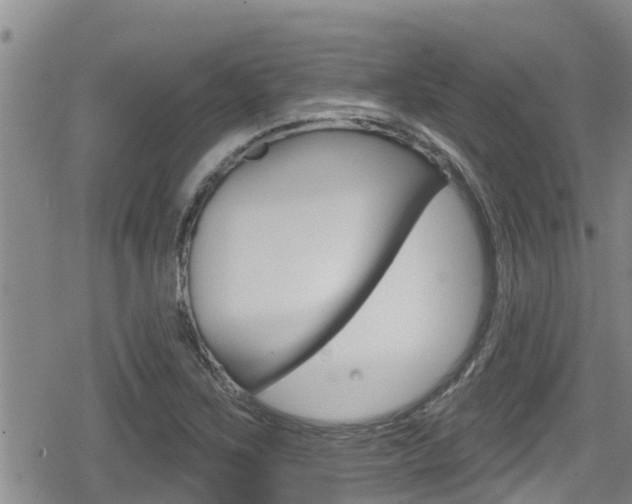 X0000080201267200612081125