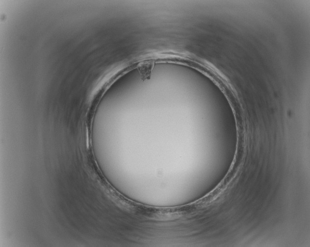 X0000080201269200612081125