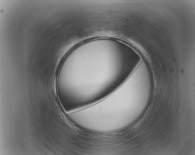 X0000080201272200612081125