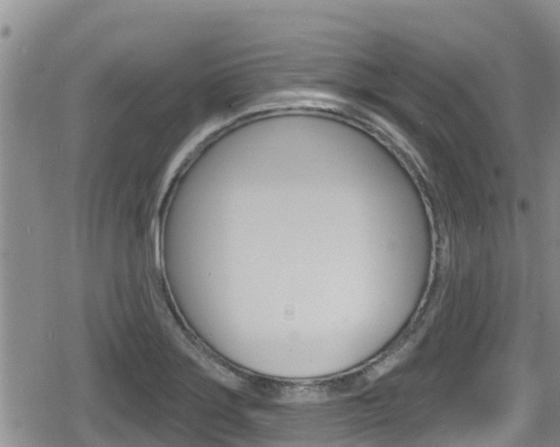 X0000080201275200612081125