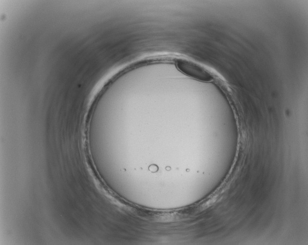 X0000080201279200612081125