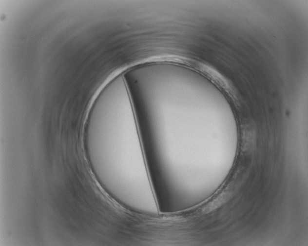X0000080201284200612081125