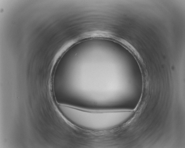 X0000080201285200612081125