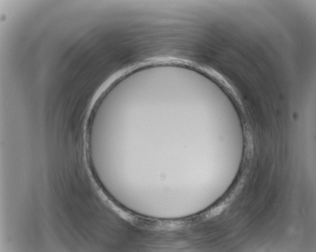 X0000080201286200612081125