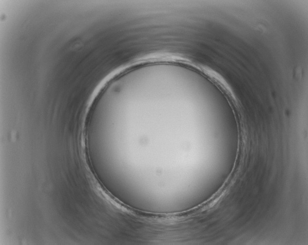 X0000080201288200612081125