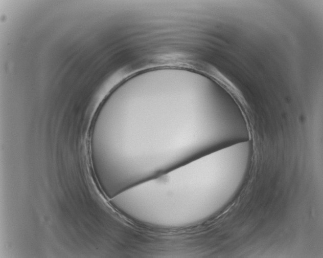 X0000080201291200612081125