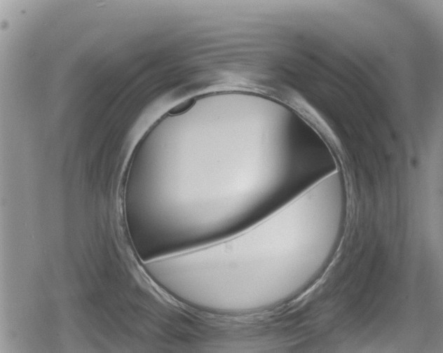 X0000080201292200612081125