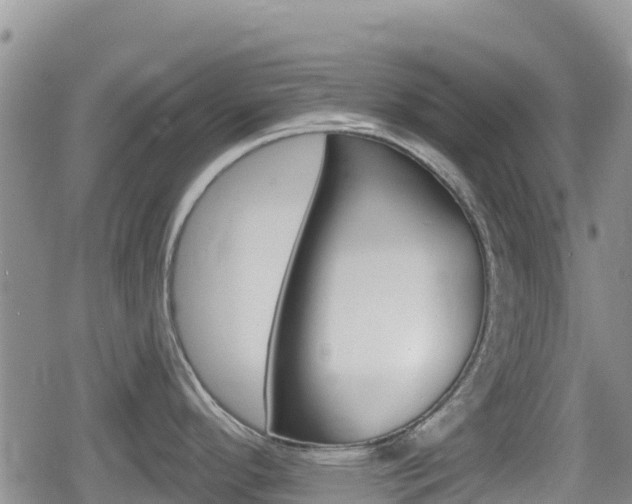 X0000080201296200612081124