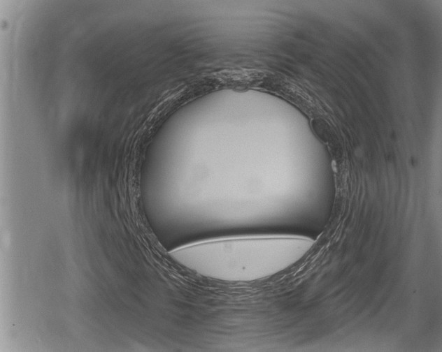 X0000080201297200612081124
