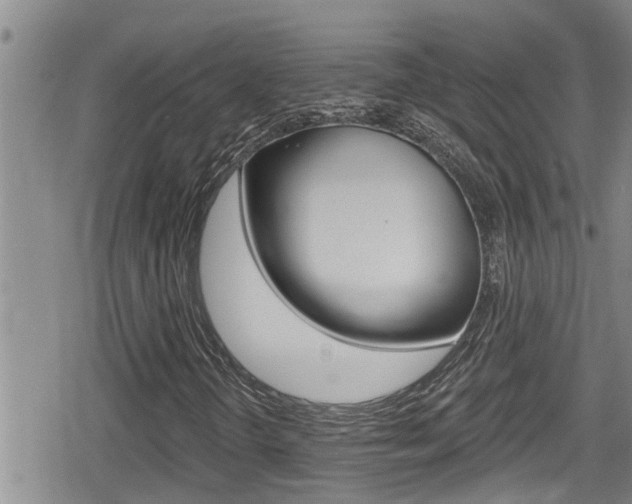 X0000080201298200612081124