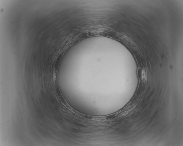 X0000080201299200612081124