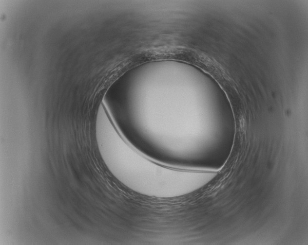 X0000080201300200612081124
